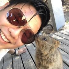 Articles by Mark Tay's Profile