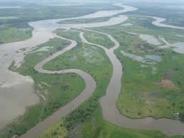 Maybe you would like to learn more about one of these? River Environment Ecoshape