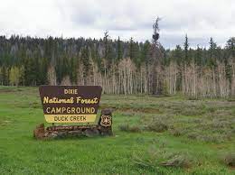 Maybe you would like to learn more about one of these? Duck Creek Village Campground