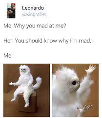 15 Hysterical Persian Cat Room Guardian Memes That Will Speak To Anyone
