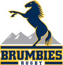 Examples of brumby in a sentence recent examples on the web an eastern grey kangaroo hops near a brumby in the yarrangobilly area of australia's kosciuszko national park on august 24, 2020. Brumbies Wikipedia