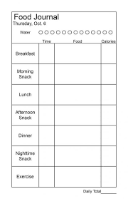 Daily Logs Template Template Food Journal Food Log
