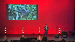 No Me No Tree Tim Pearson At Tedxcanberra September 26 2013 Tim Pearson Dedicates His Time To Researching One Of All About Bats Educational Videos Pearson