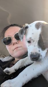 Oh, how I've missed that wet dog smell....not! She had fun though! 😘🐾