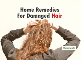 Here are a few of them. Damaged Hair Home Remedies 5 Home Remedies To Get Rid Of Dry Damaged And Brittle Hair