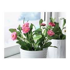 Mobilier Et Decoration Interieur Et Exterieur Artificial Plants Artificial Potted Plants Artificial Plant Arrangements