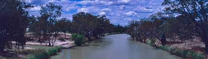 Light winds becoming n 20 to 30 km/h in the morning. Walgett Nsw Aussie Towns
