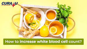 How To Increase White Blood Cell Count - Cura4U