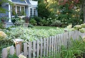 So können beispielsweise schnellwachsende sträucher als sichtschutzhecke durchaus gute dienste leisten, allerdings kann deren wachstum im fortgeschrittenen. 7 Moglichkeiten Schone Straucher Im Garten Zu Haben Trendomat Com