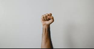 Should You Be A Political Activist? : 9Marks