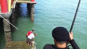 Pier, kelong paradise waterfront resort is situated southwest of bagan nakhoda omar. Kelong Paradise Pengalaman Gasak Pari Youtube