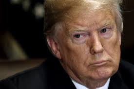 Result Page 55 for Chantal Da Silva