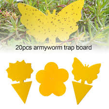 Check spelling or type a new query. 20pcs Butterfly Flower Shape Flying Gnat Catcher Insect Pest Control Dual Sided Yellow Strong Glue Sticky Trap Indoor Outdoor Hot Discount 9649a0 Goteborgsaventyrscenter