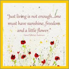 Poets on may sarton's poetry, p.135, univ. Quotes About Having A Garden 37 Quotes