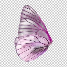 butterfly portable network graphics fairy wings png clipart butterfly butterfly wings computer icons desktop wallpaper fairy butterfly portable network graphics