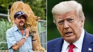 Sandra Wittkopp's Instagram, Twitter & Facebook