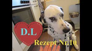 Hundefutter Selber Machen Lecker Schnell Gesund Kochen Fur Den Hund Reze In 2020 Gesund Kochen Hundefutter Hunde Futter