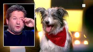 And martin lepperød (born 1993) is a norwegian actor and host. Norske Talenter Dommeren Klarer Ikke Holde Tarene Tilbake Nar Han Ser Hunden Vega