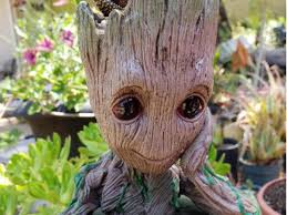 Succulents cacti are succulents, but not all succulents are cacti. The Cutest Baby Groot Flower Pot For Guardian Of The Galaxy Lovers