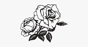Affordable and search from millions of royalty free images, photos and vectors. Rose Clip Art Black And White Rose Png Transparent Png Transparent Png Image Pngitem