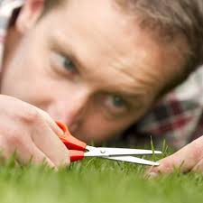 نتیجه جستجوی لغت [perfectionist] در گوگل