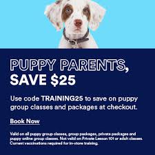 From their first shots, annual boosters, to all the puppy vaccinations your puppy needs, jeffers has you covered. Dog Puppy Training Classes Quail Springs Ok Petco
