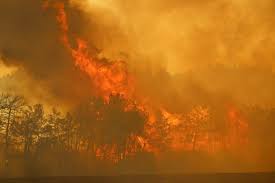 Son yangınlar ile bahçedeki tüm meyve ağaçlarımız da gitti, sadece bizim değil tüm köyün bahçeleri yandı.. Dr877tg0lfehlm