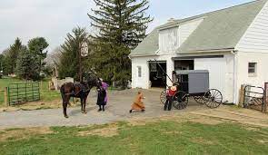 Check spelling or type a new query. Paradise Amish Bed And Breakfast Amish Bnb