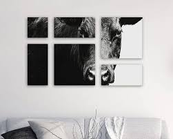 Black And White Split Canvas Prints Black Angus Canvas Panel Split Wall Art Collage Animal Cow Art Photography Black White Farmhouse Home Decor Cow P Art Collage Wall Large Wall Art Cow Art