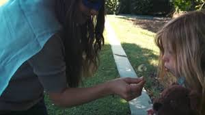 Addison Morgan Bryan