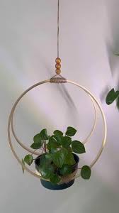 doris mckoy (dmckoy0040)