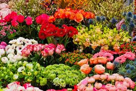 Free for commercial use no attribution required high quality images. Flowers Spring Season Free Photo On Pixabay