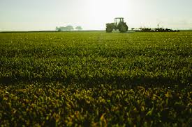 Maybe you would like to learn more about one of these? Woerner Agribusiness Linkedin