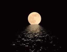 73% of tycoons have effectively put resources into digital forms of money or will put resources into them before the year. Safe Moon Go Go Go Moon Gif Safemoon Gogogomoon Discover Share Gifs
