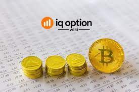 Upload a pdf or design from scratch flyers, magazines, books and more. Guide To Trading Bitcoin On Iq Option Iq Option Wiki