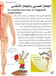 pin by سنا الحمداني on قراءات words word search puzzle word search