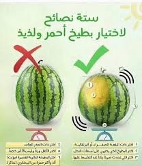 Pin By Meri Em On نصائح هامه Arabic Food Food Advice Cooking Seafood