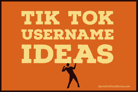 Who should i cosplay, because i am x y and z. 235 Tiktok Username Ideas To Brand Yourself Effectively With Style