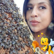 Apple capital museum beehive and tube tour