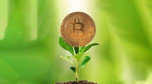 This dominance means it has tremendous momentum, which makes it the best cryptocurrency to invest in 2021 if you're a beginner, or if you simply don't trade much. Read This 6 Step Guide Before You Invest In Cryptocurrency