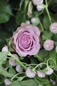 Inside Achillea Flower Shop Quirky Flower Adventure The Smell Of Roses The Smell Of Roses