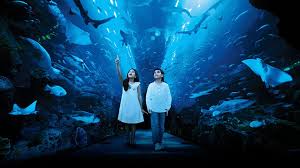 Aquarium Archives Taxim Travel