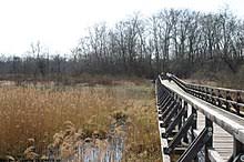 An excursion here is especially worthwhile. Lobau Wikipedia