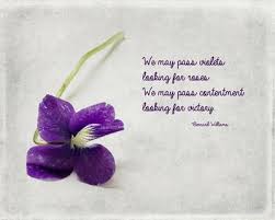 Violet Art Print By Bonnie Martin Flower Quotes Violet Flower Sweet Violets