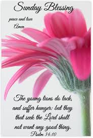 We did not find results for: 40 Best Collections Sunday Blessings Prayers Images Poppy Bardon Blessings Pictures