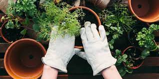 Diy cooling system garden greenhouse watering kit outdoor patio mist. 11 Best Gardening Kits For 2021 Types Of Gardening Kits