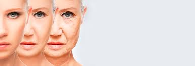 La vida es como un juego en el que no estás solo. Https Www Bbvaopenmind Com Articulos 2021 04 07t14 22 44 00 00 Https Www Bbvaopenmind Com En Articles Knowledge And Global Order 2013 08 28t10 55 41 00 00 Https Www Bbvaopenmind Com En Articles Dignity Deficit Fuels Uprisings In The