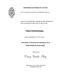 Es un célebre centro de peregrinación, ya que en ella se emplaza desde el siglo xii el gigantesco mandir (templo) dedicado al señor jagannātha. Classic Maya Households Research Papers Academia Edu