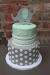 Boy Mint Green Baby Shower