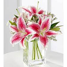 We did not find results for: Pink Lily Flowers Local Goleta Santa Barbara Florist Same Day Delivery Goodland Florist
